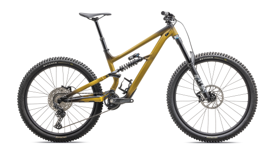 Mountain bike Specialized STATUS 170 2