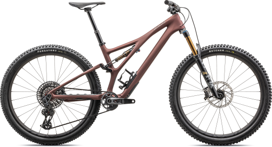 Kalnų dviratis Specialized SJ PRO