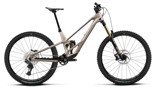 Mountain bike Orbea RALLON E10