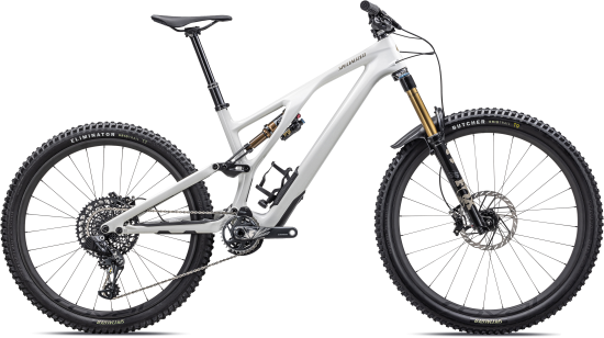 Kalnų dviratis Specialized STUMPJUMPER EVO PRO