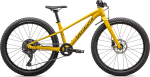 Kids bike Specialized RIPROCK 24 INT
