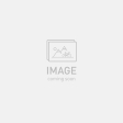 Mountain bike Specialized CHISEL HT COMP