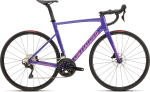 Plento dviratis Specialized ALLEZ SPRINT COMP