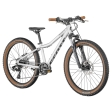 Kid'S Bike Scott Scale 24 Disc Silver