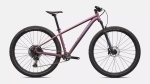 Kalnų dviratis Specialized ROCKHOPPER EXPERT 29 2026