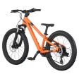 Kids bike Scott Roxter 200
