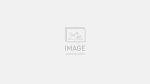 Mountain bike Specialized ROCKHOPPER SPORT 27 2026