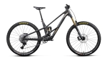 Elektrinis dviratis Orbea RALLON RS-LTD