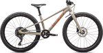 Kids bike Specialized RIPROCK 24 INT