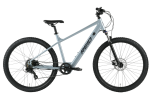 Elektrinis Dviratis Reid Lets Mtb Grey