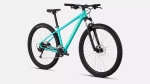 Kalnų dviratis Specialized ROCKHOPPER BASE 29 2026