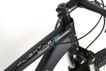 Mountain bike Haro Flightline Two 29