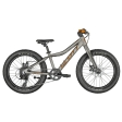 Kid'S Bike Scott Roxter 20 Silver