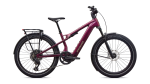 Elektrinis dviratis Specialized VADO X 3 5.0 2026