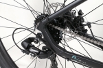 Mountain bike Haro Flightline Two 29