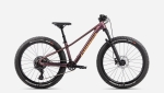 Kids bike Orbea KIMU 24 H10 TR