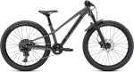 Kids bike Specialized RIPROCK EXPERT 24 INT