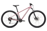 Mountain bike Specialized ROCKHOPPER SPORT 29