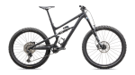 Mountain bike Specialized STATUS 170 2