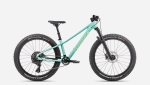 Kids bike Orbea KIMU 24 H10 TR
