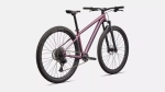 Kalnų dviratis Specialized ROCKHOPPER EXPERT 29 2026