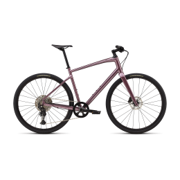 Hibridinis dviratis Specialized SIRRUS X 4.0 2026