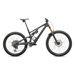 Kalnų dviratis S-Works STUMPJUMPER EVO 