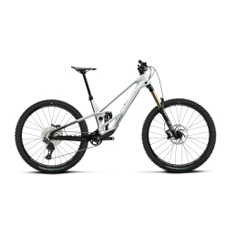 Mountain bike Orbea RALLON E10