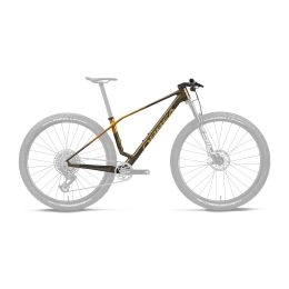 Kalnų dviračio rėmas Orbea ALMA CARBON
