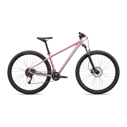 Mountain bike Specialized ROCKHOPPER SPORT 29