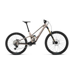Mountain bike Orbea RALLON E-TEAM