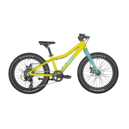 Vaikiškas dviratis Bergamont Bergamonster 20 Plus