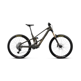 E-bike Orbea WILD LT M10
