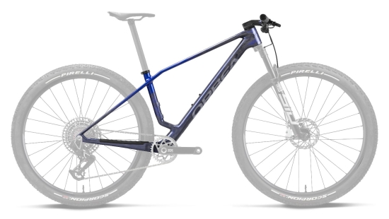 Kalnų dviratis Orbea ALMA CARBON