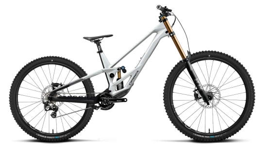 Mountain bike Orbea RALLON D-LTD