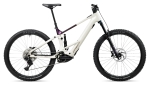 Elektrinis dviratis Orbea WILD TR H10