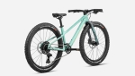 Kids bike Orbea KIMU 24 H10