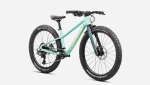 Kids bike Orbea KIMU 24 H10